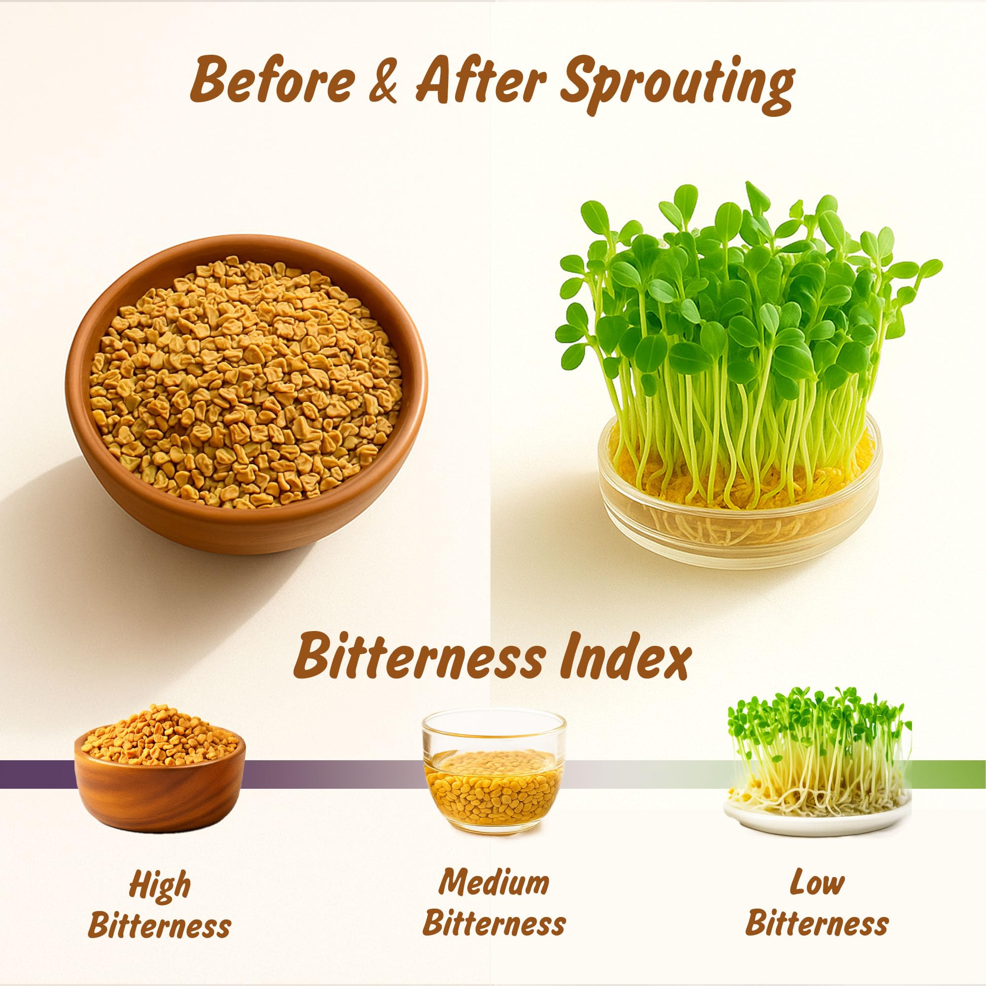 Spice Profile fenugreek seeds adding flavor to breads and baking.