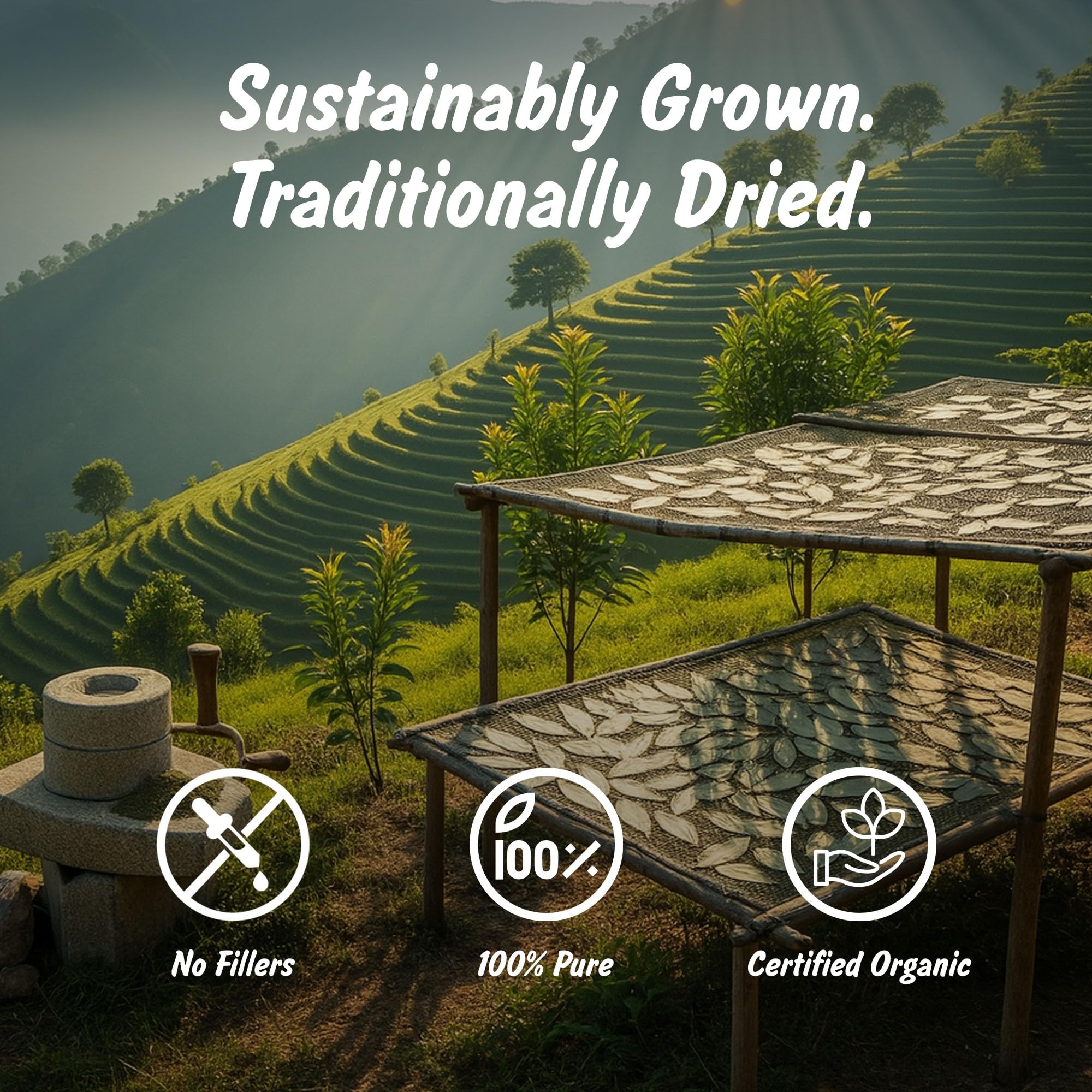 Spice Profile lab-tested purity ensures safety in everyday cooking.