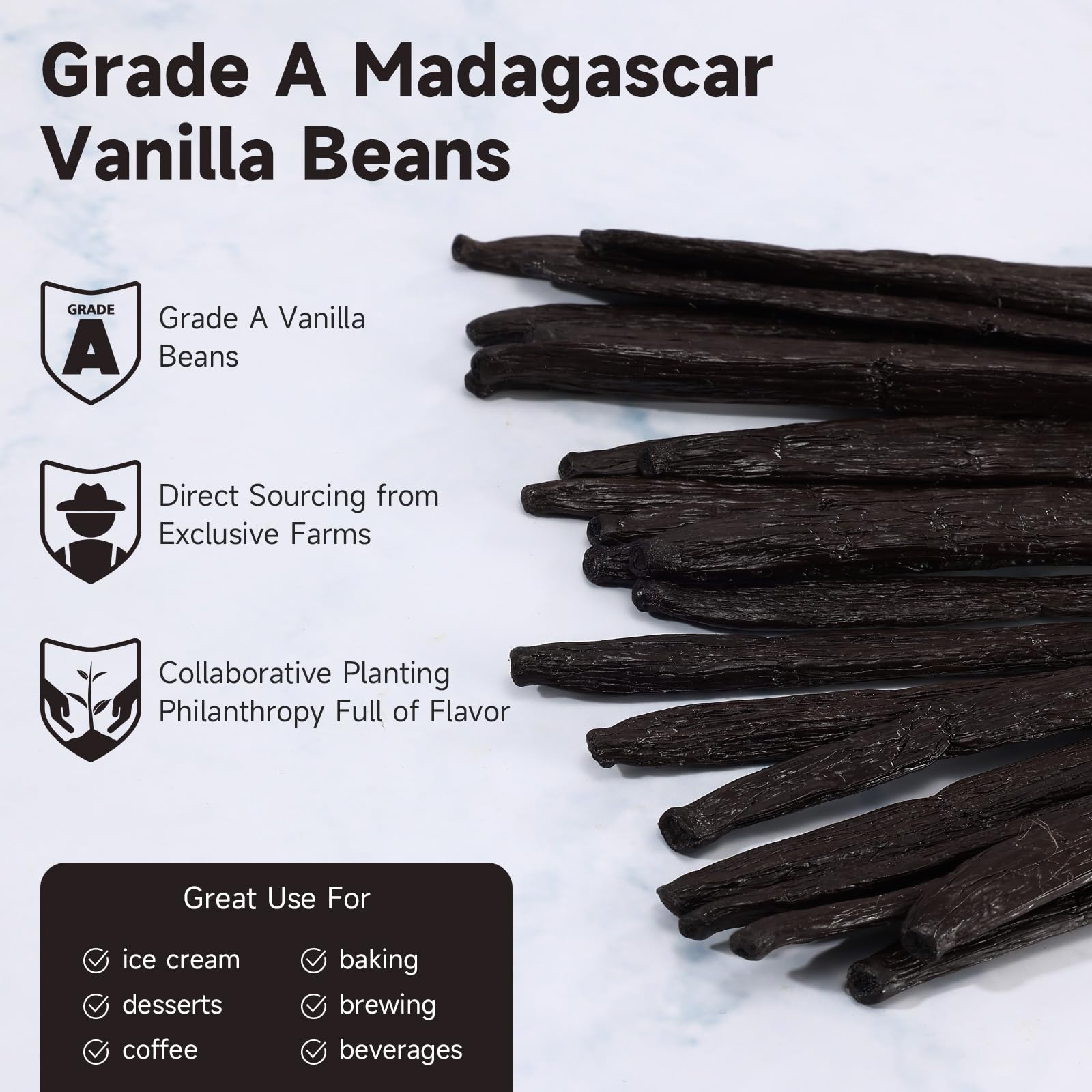 SPICEEL vanilla beans grade A in sealed pack preserving freshness