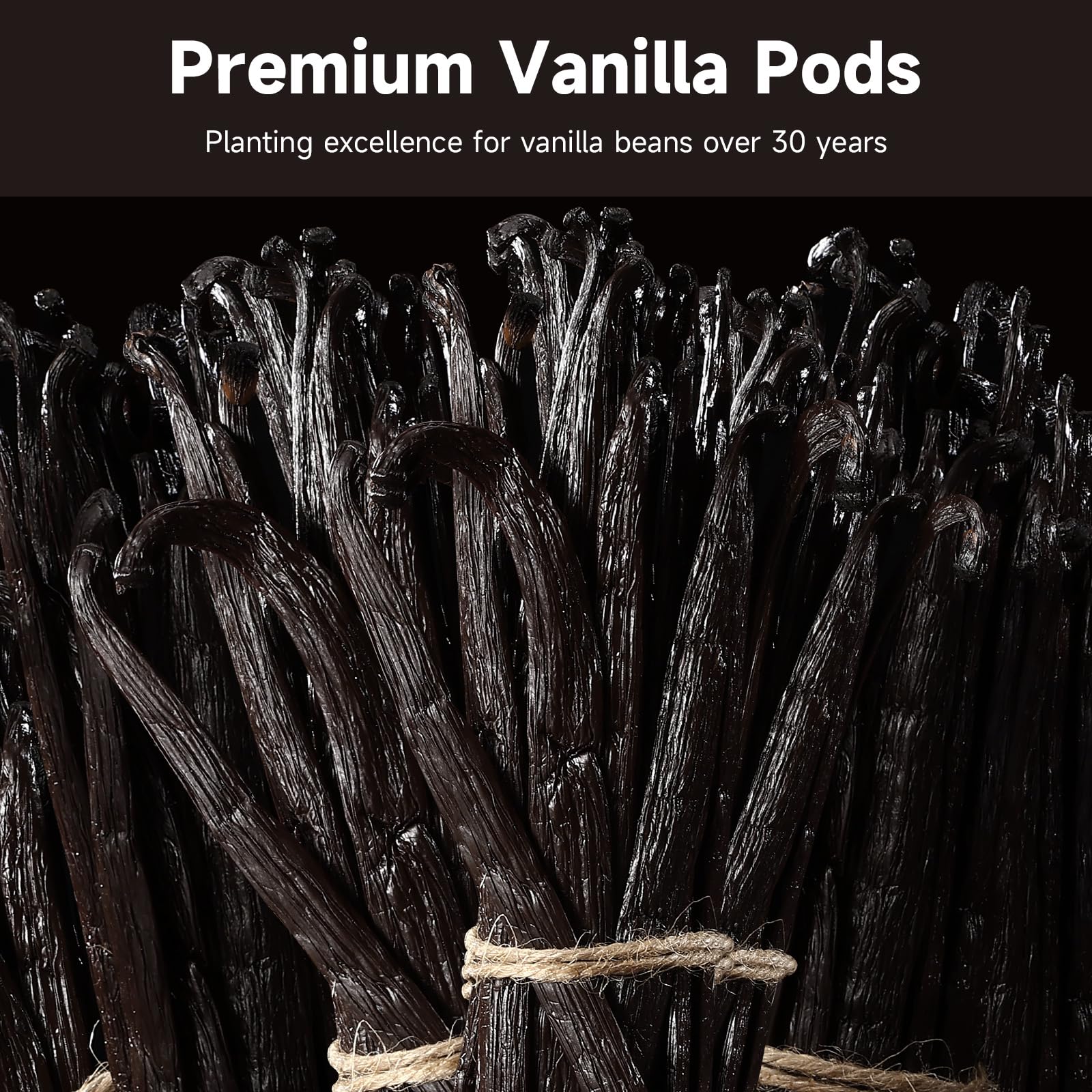 SPICEEL Madagascar vanilla beans show rich aroma and color