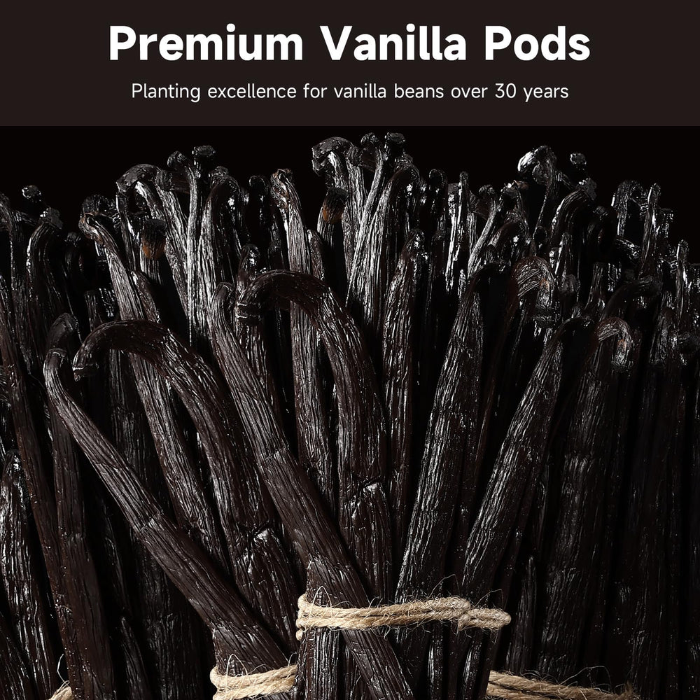 SPICEEL Madagascar vanilla beans show rich aroma and color