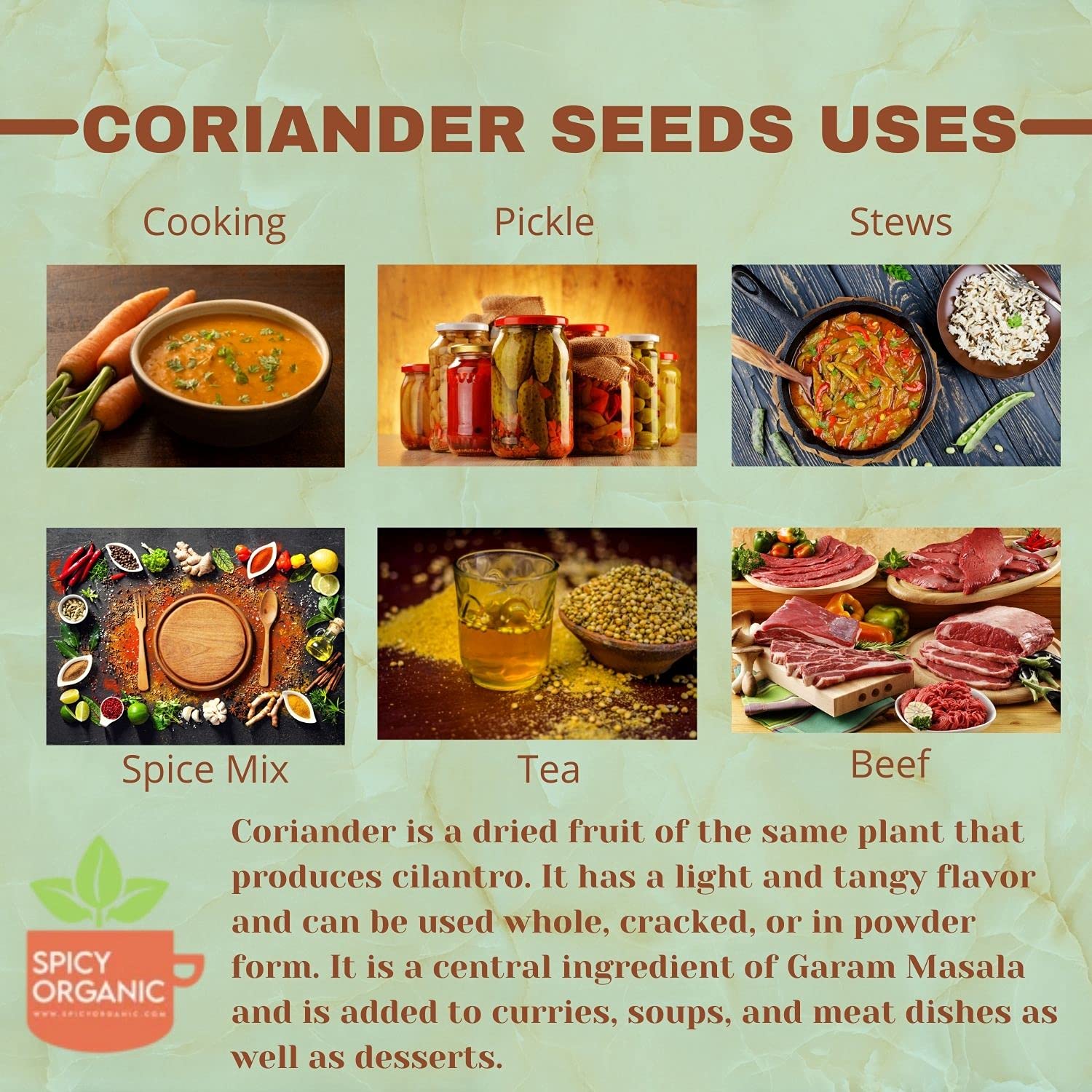 SPICY ORGANIC aromatic coriander seeds in a spice bowl