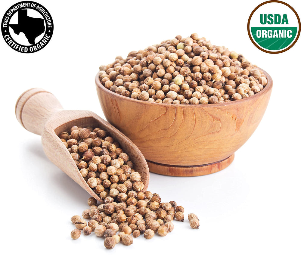 SPICY ORGANIC cilantro seeds for home gardening