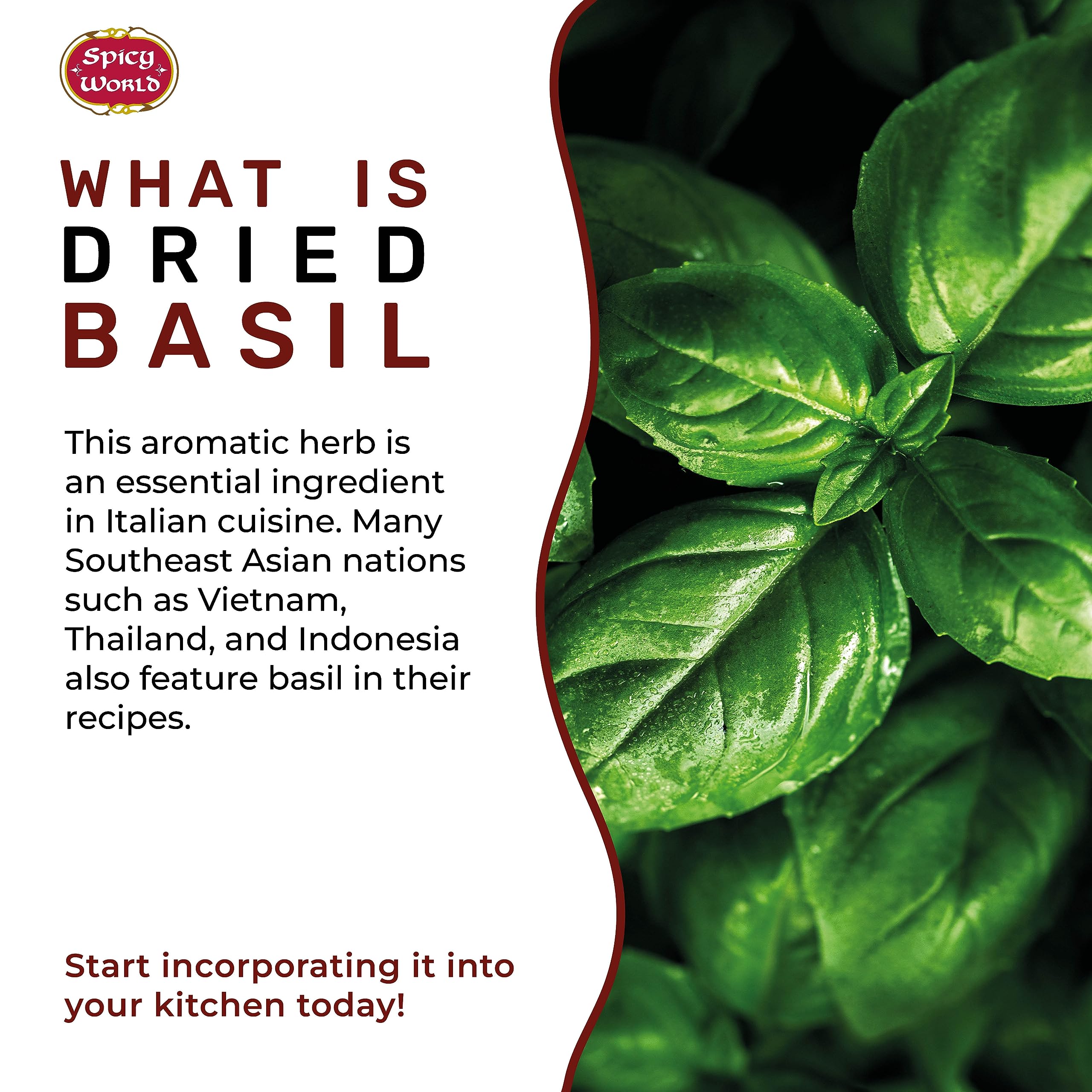Spicy World dried basil leaves jar label view suggests convenient storage.