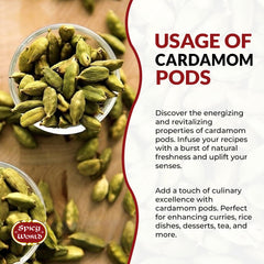 Spicy World cardamom pods with a coffee mug for spiced brew