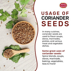 Spicy World coriander seeds ground for paste and spice blends