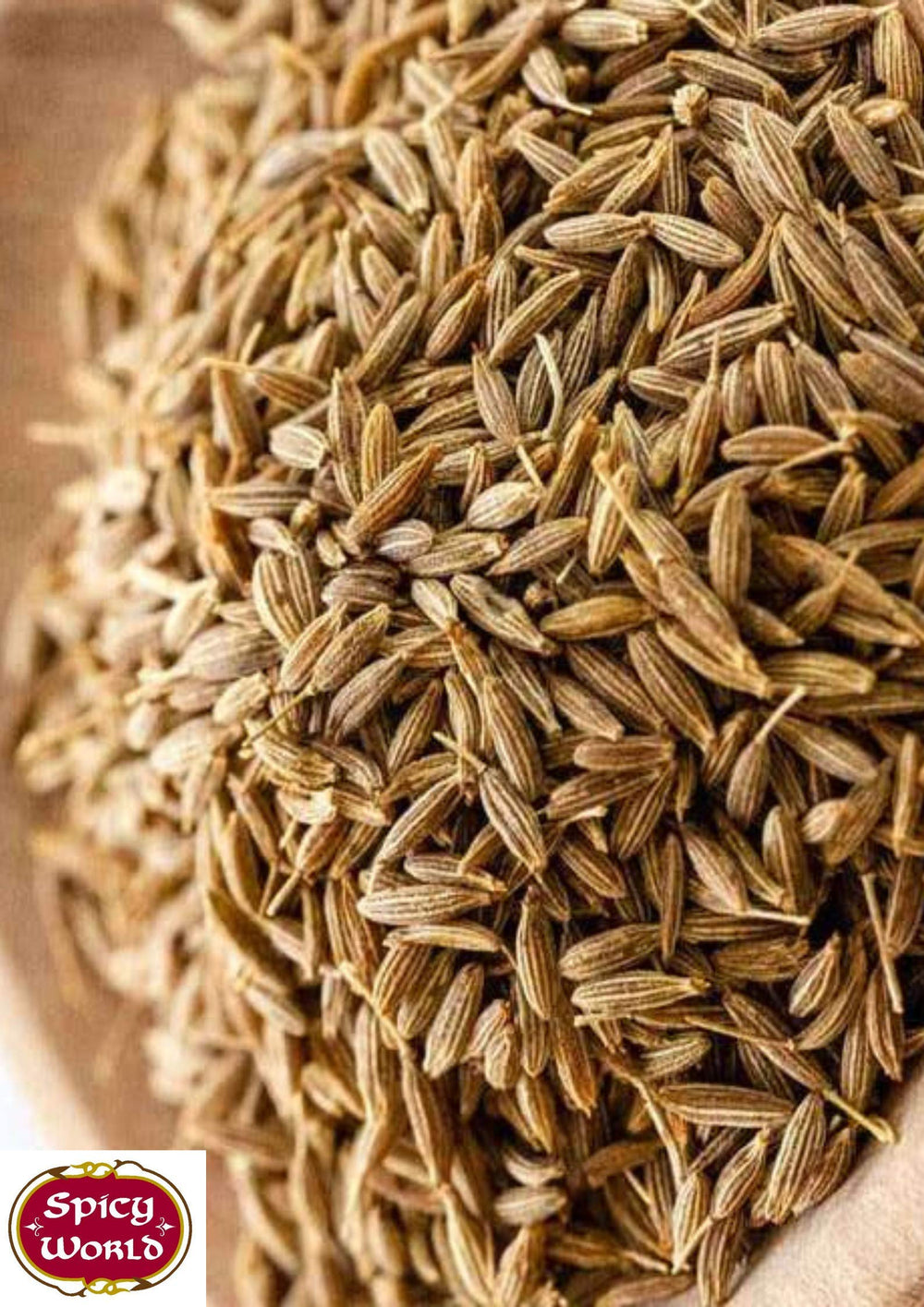 Spicy World cumin seeds pour-ready jar for quick cooking