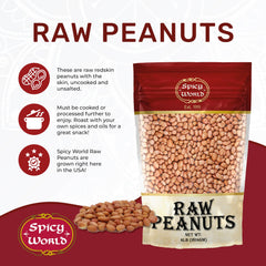 Spicy World USA-grown redskin peanuts close-up for boiling Southern style.