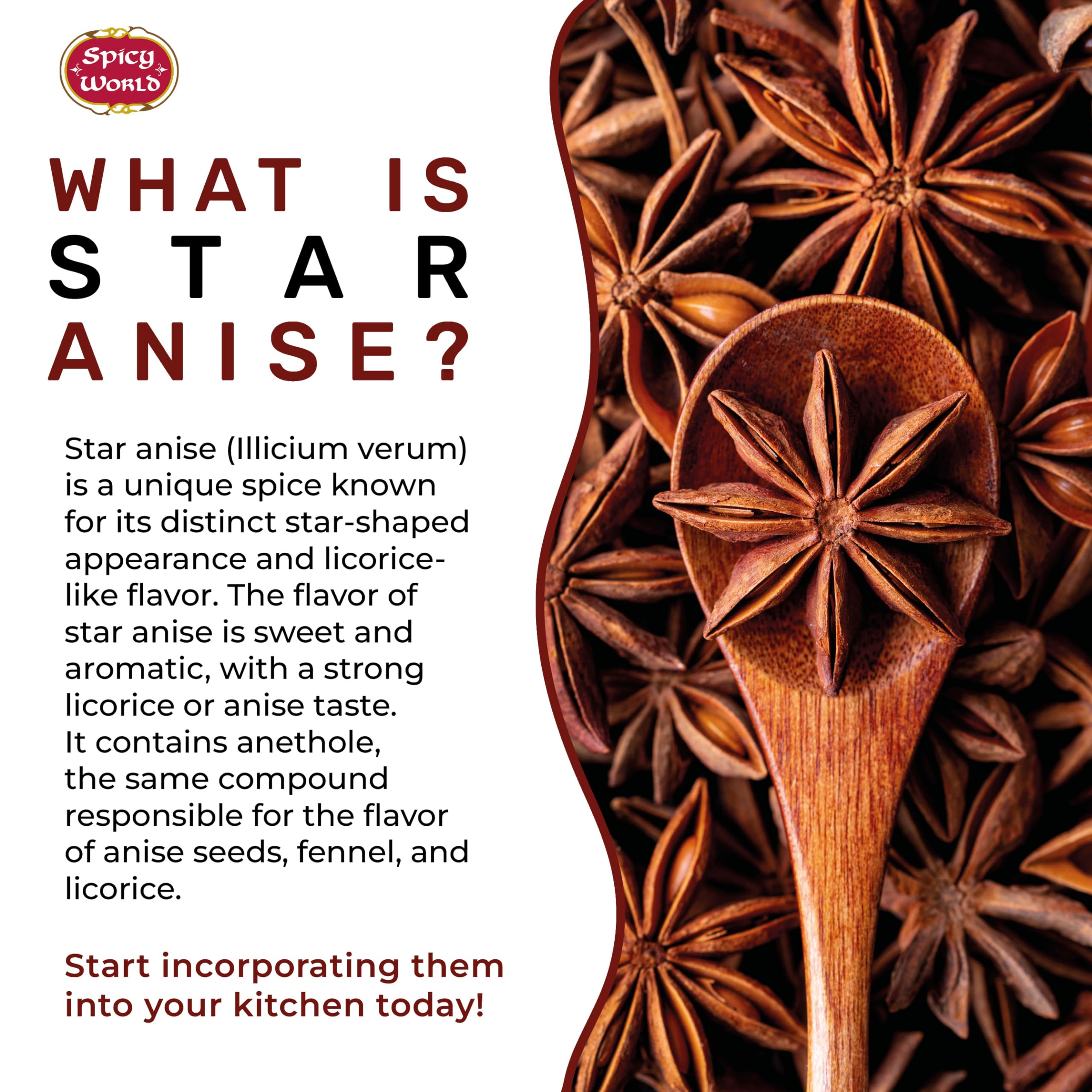 Spicy World star anise whole pods ready for recipes.
