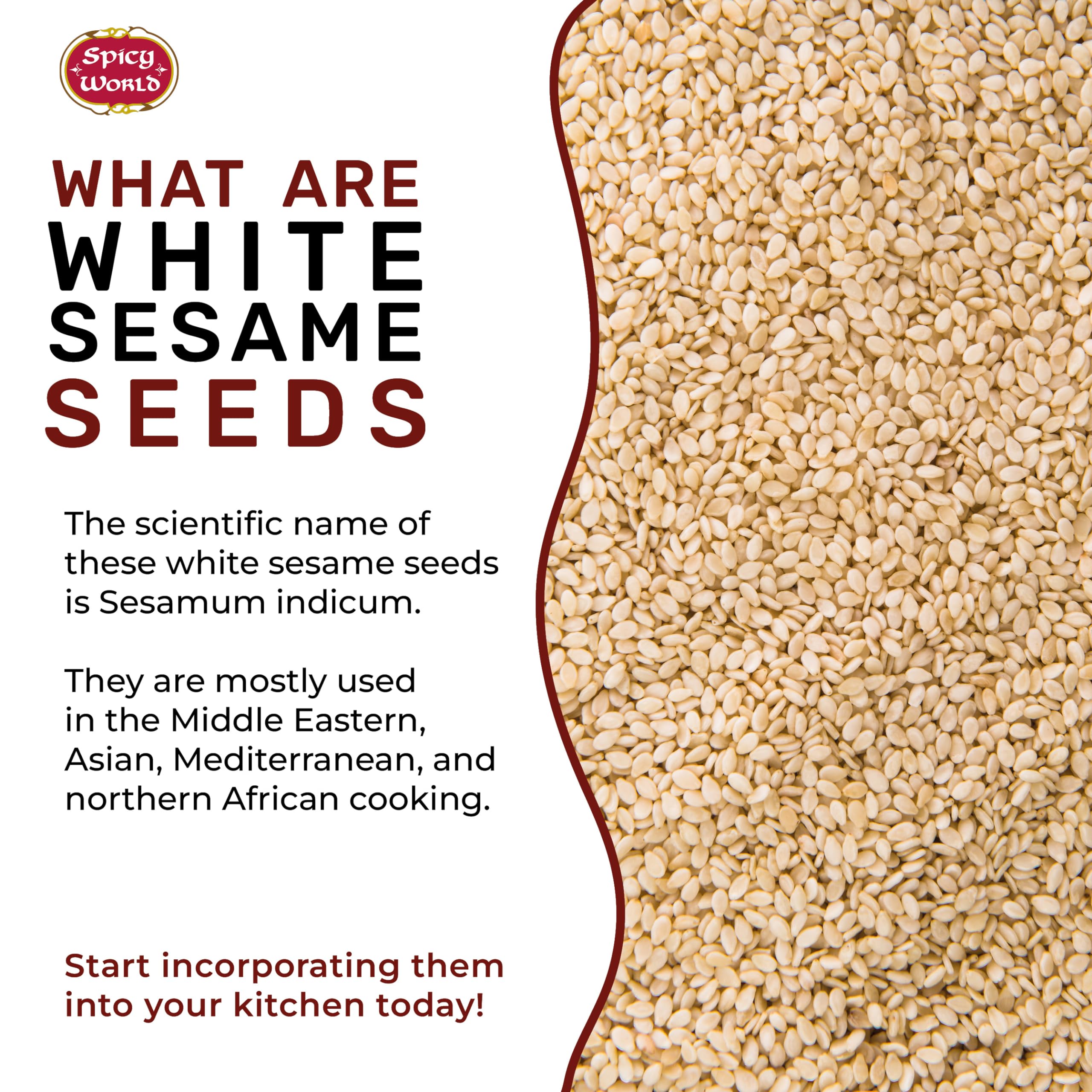 Spicy World white sesame seeds raw and hulled texture suitable for tahini and oil