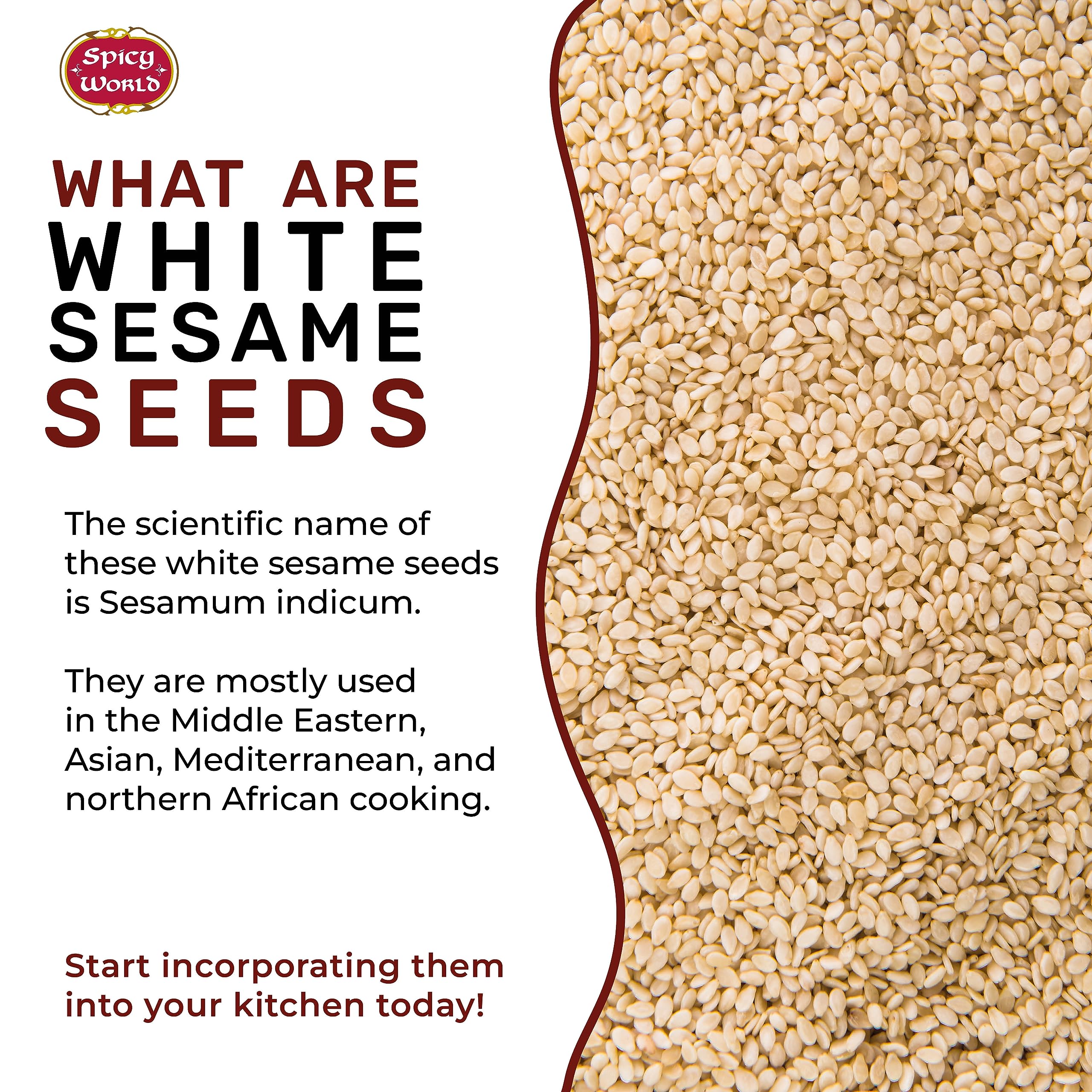Spicy World white sesame seeds in a bowl ready for recipes