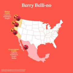 Pouring Berry Belli-no into glass reveals light carbonation and pulp.
