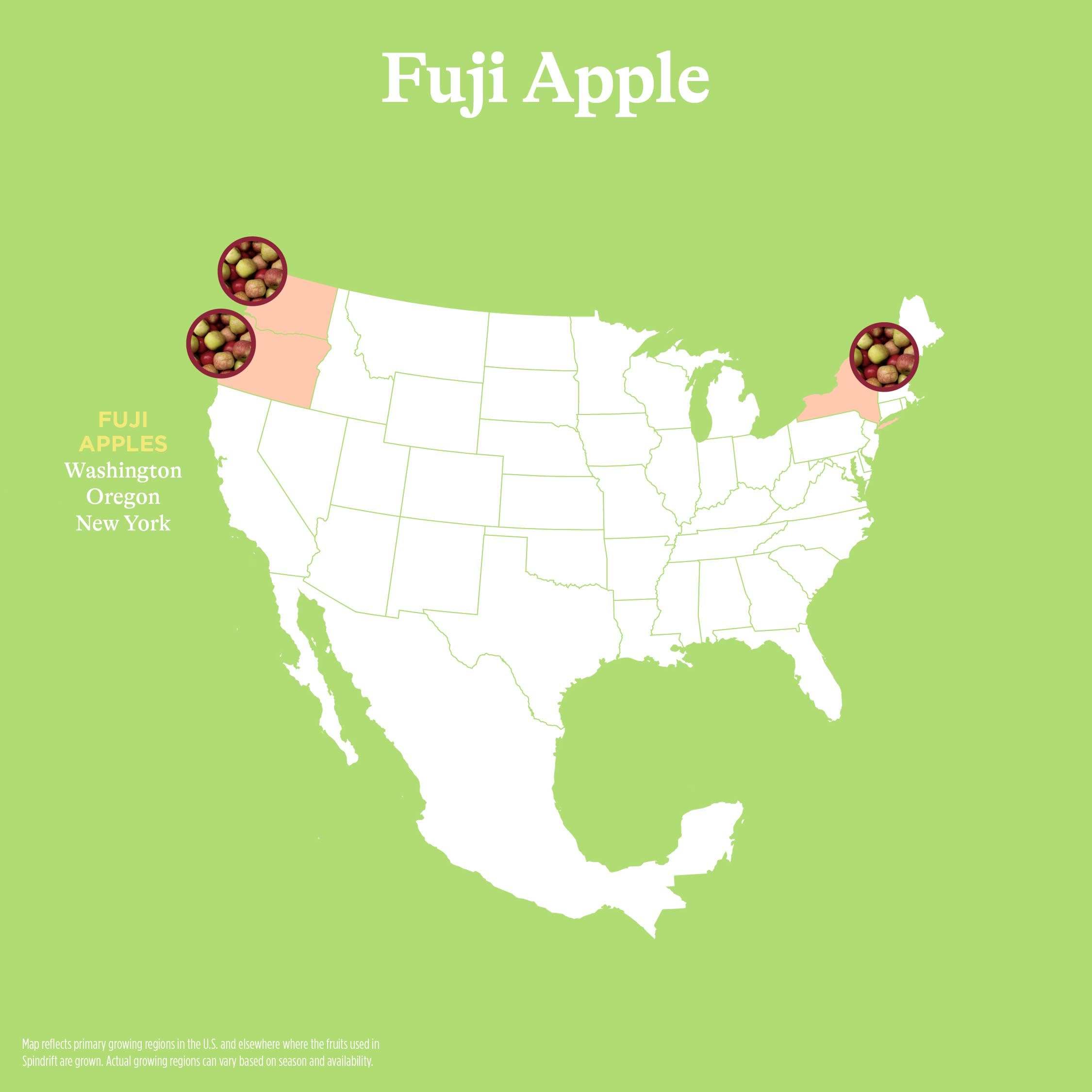 Spindrift Fuji Apple 24-pack emphasizing value and shared refreshment
