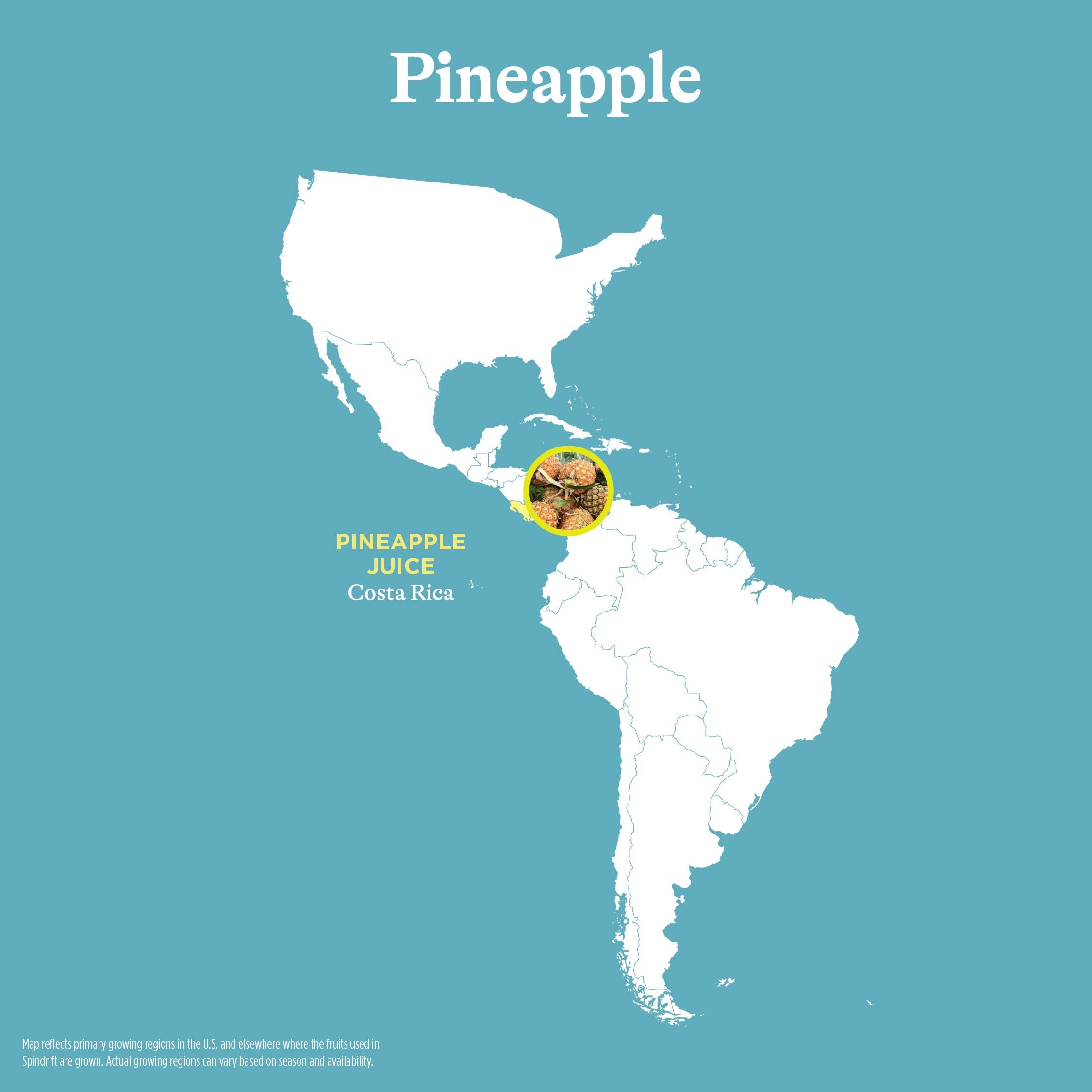 Spindrift Pineapple Sparkling Water ingredients show 8% pineapple juice for authentic flavor.