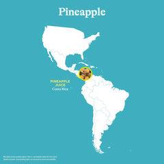 Spindrift Pineapple Sparkling Water ingredients show 8% pineapple juice for authentic flavor.