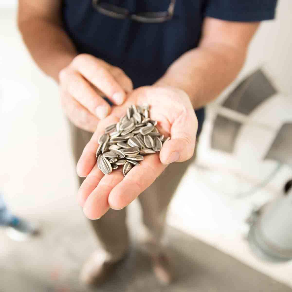 Big seeds with bold personality for satisfying snacking.