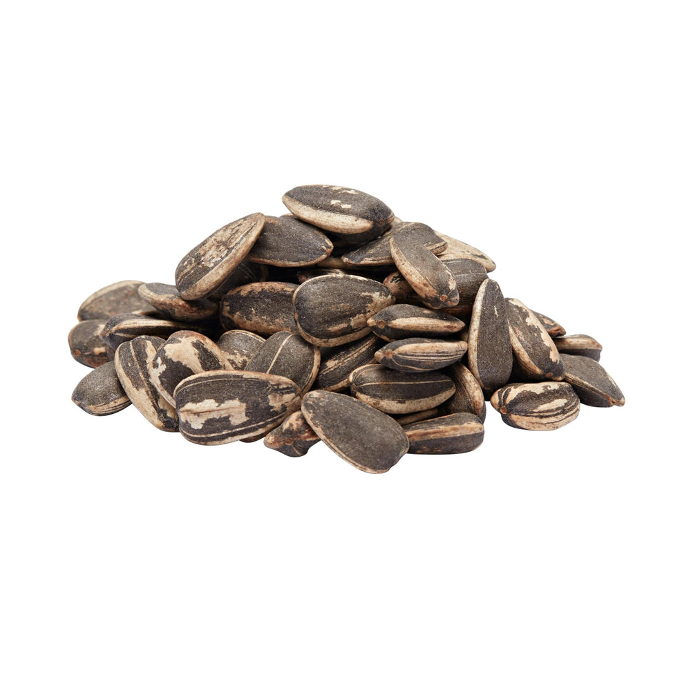 Spitz Dill Pickle Sunflower Seeds outdoors on a picnic table.