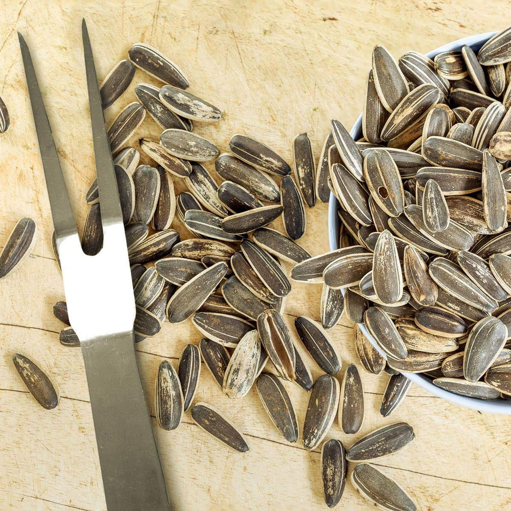 Spitz salted seeds double sorted for size and color accuracy.