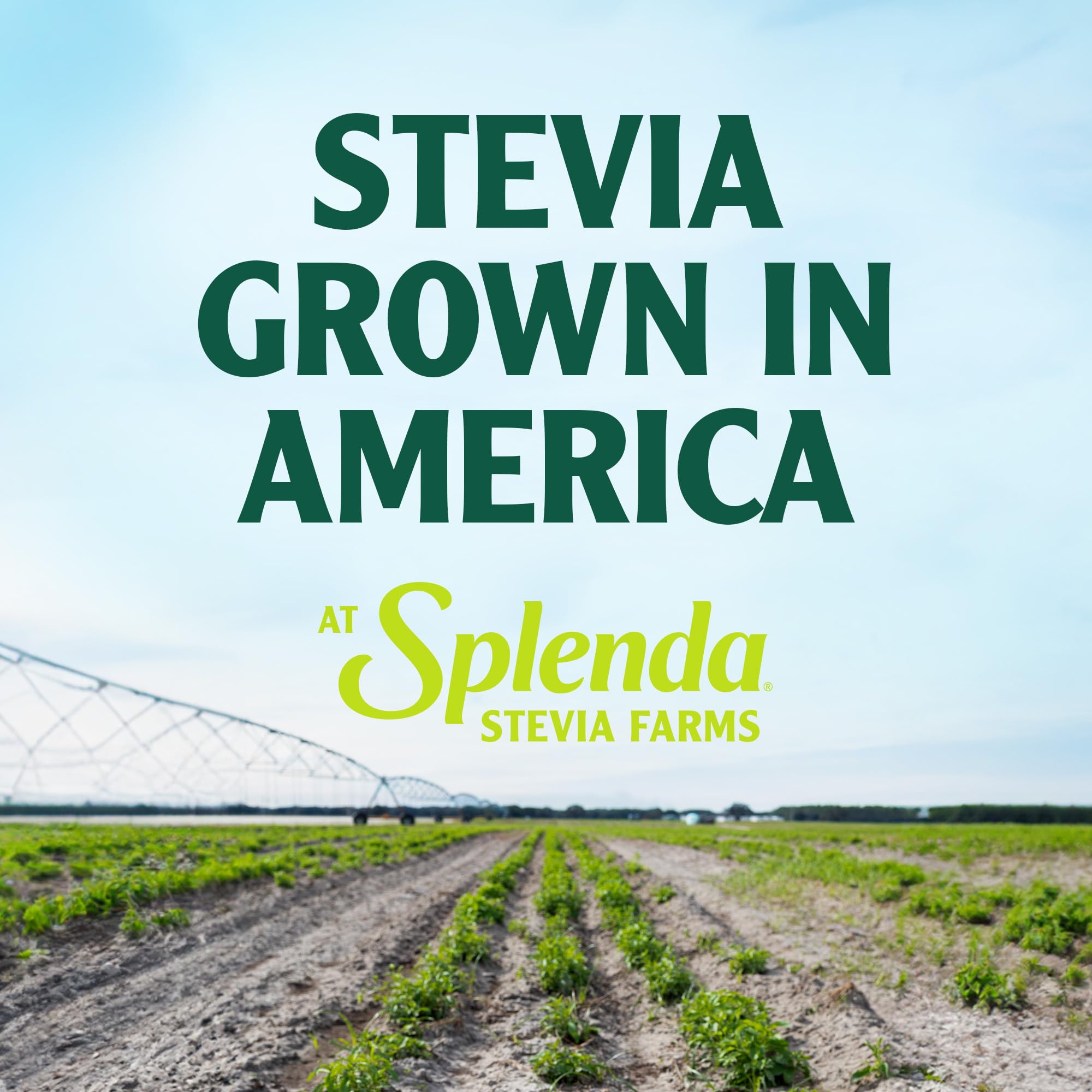 SPLENDA Stevia diabetes-friendly sugar substitute for sugar-conscious beverages
