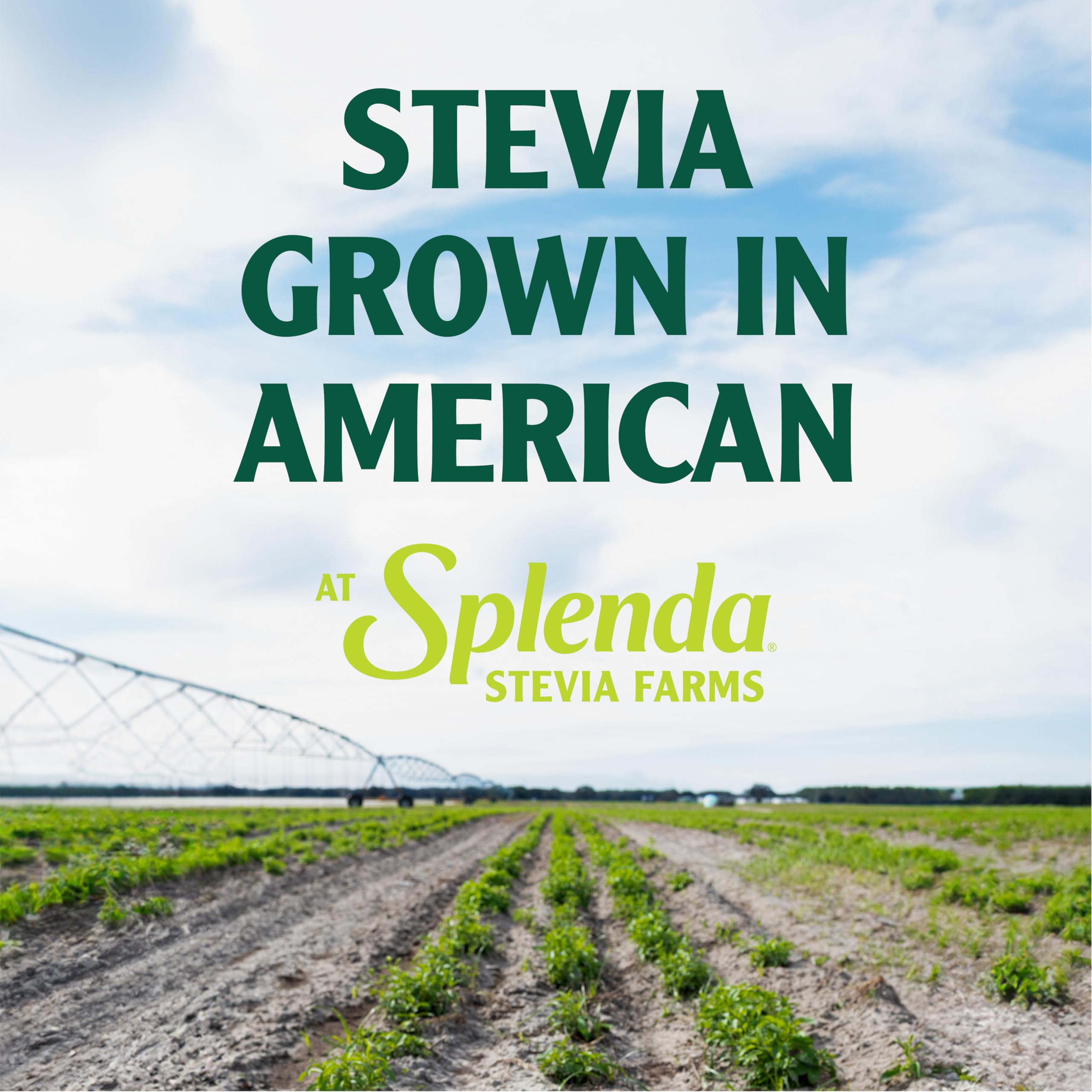 SPLENDA Stevia in a kitchen scene ready for recipes