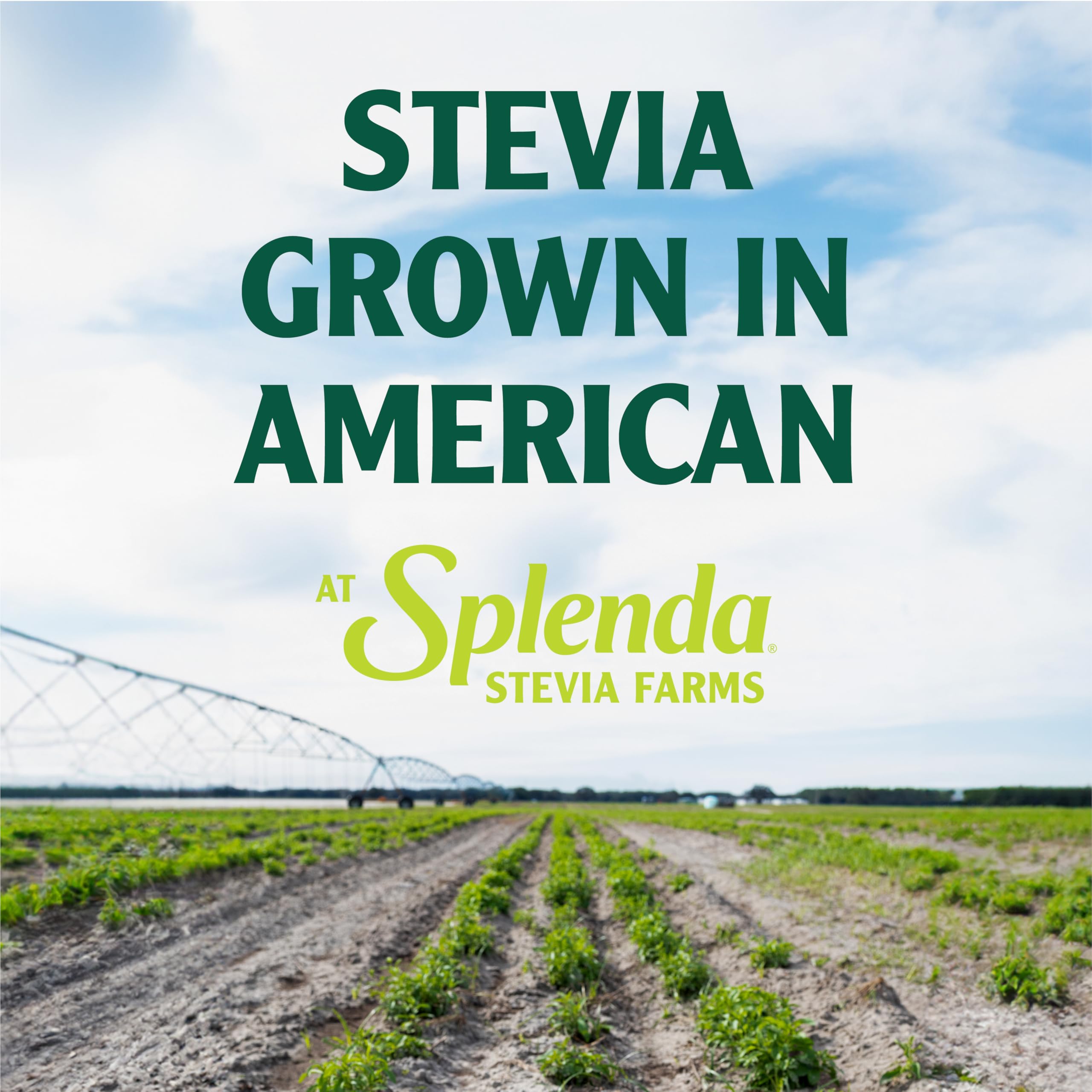 SPLENDA Stevia US farm field underscores sustainable, plant-based sweetness sourcing