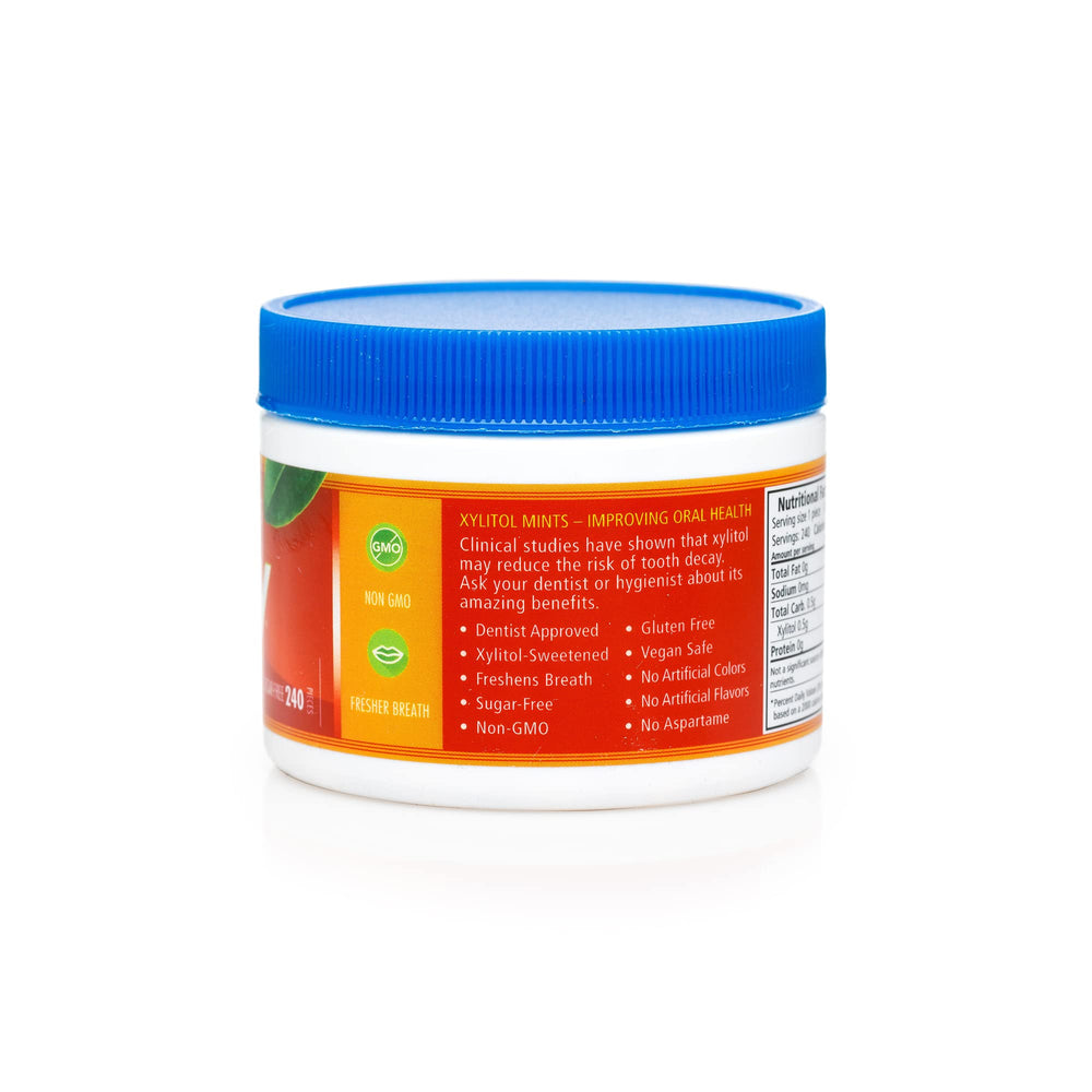 Spry Xylitol Cinnamon Mints on a clean surface ready to refresh