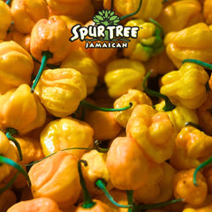Spur Tree Jamaican Scotch Bonnet Sauce 3-pack packaging highlights value and authentic flavor.