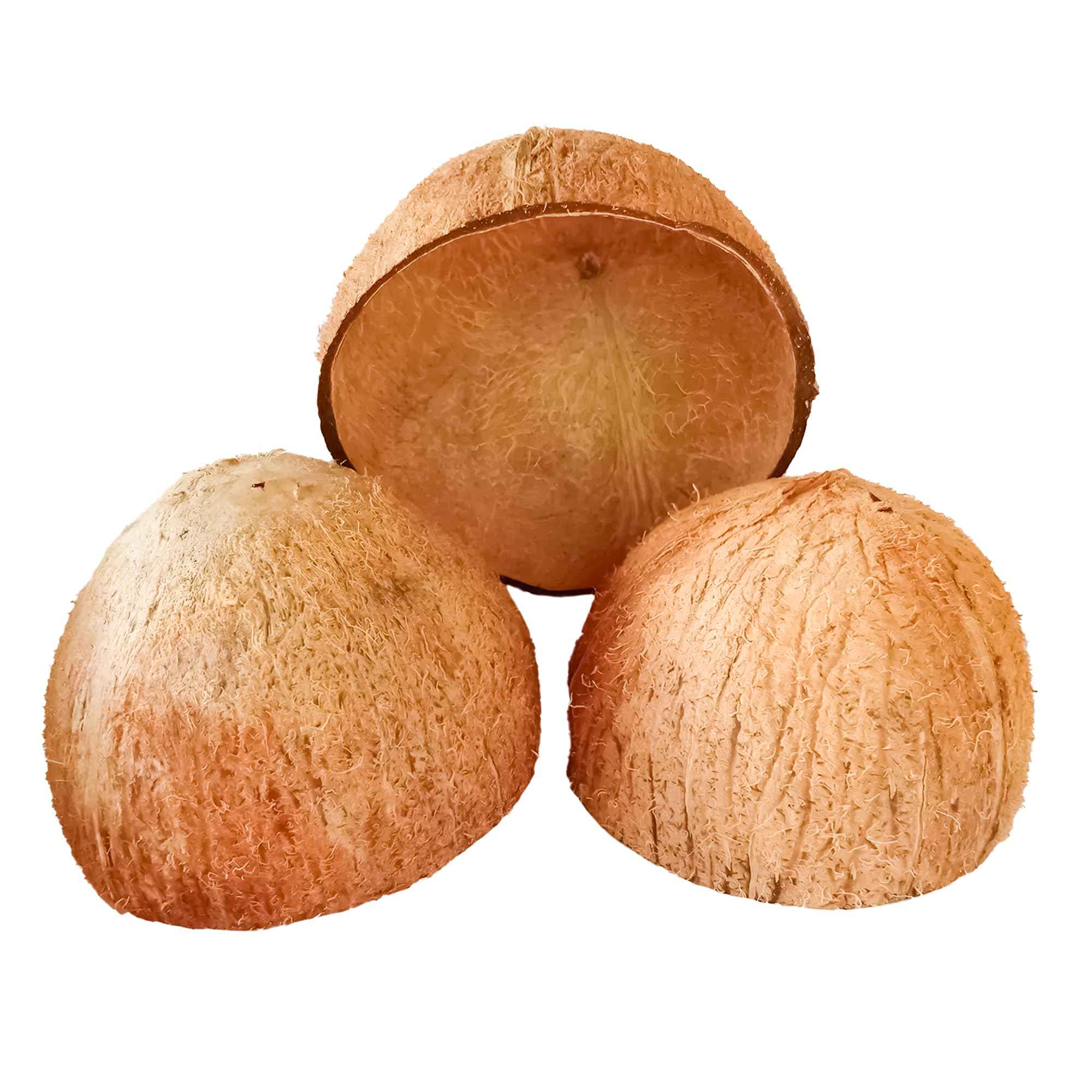 Sri Craft coconut shell half natural planter for small plants