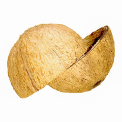 Sri Craft coconut shell half ready to become a bird feeder