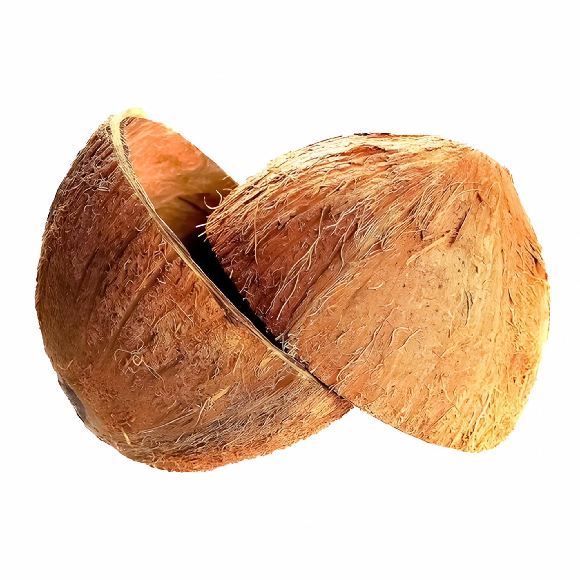 Sri Craft coconut shell half close-up texture perfect for DIY projects