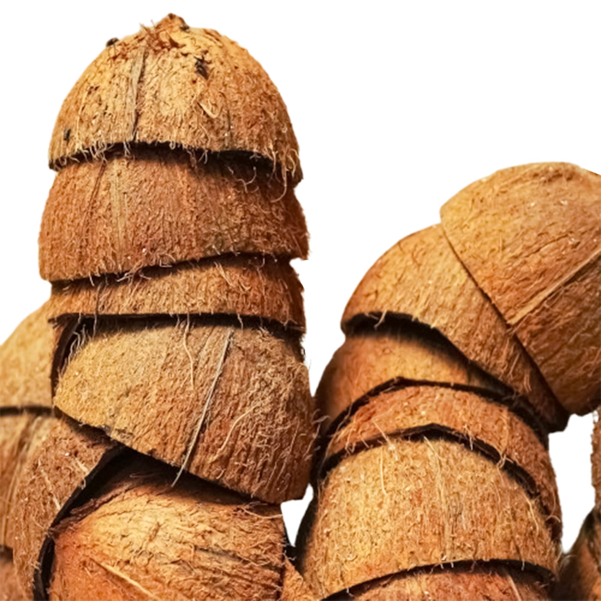 Sri Craft coconut shell half durable and sustainable for crafts