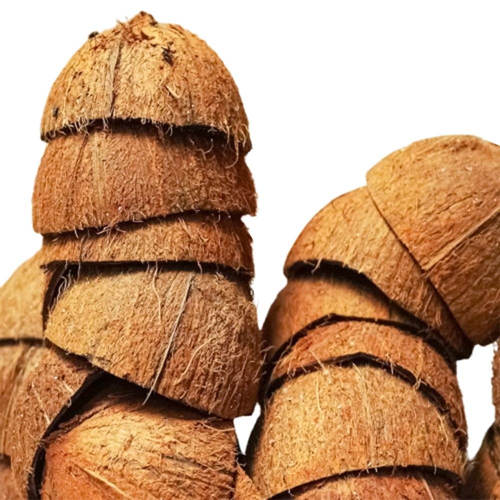 Sri Craft coconut shell half durable and sustainable for crafts