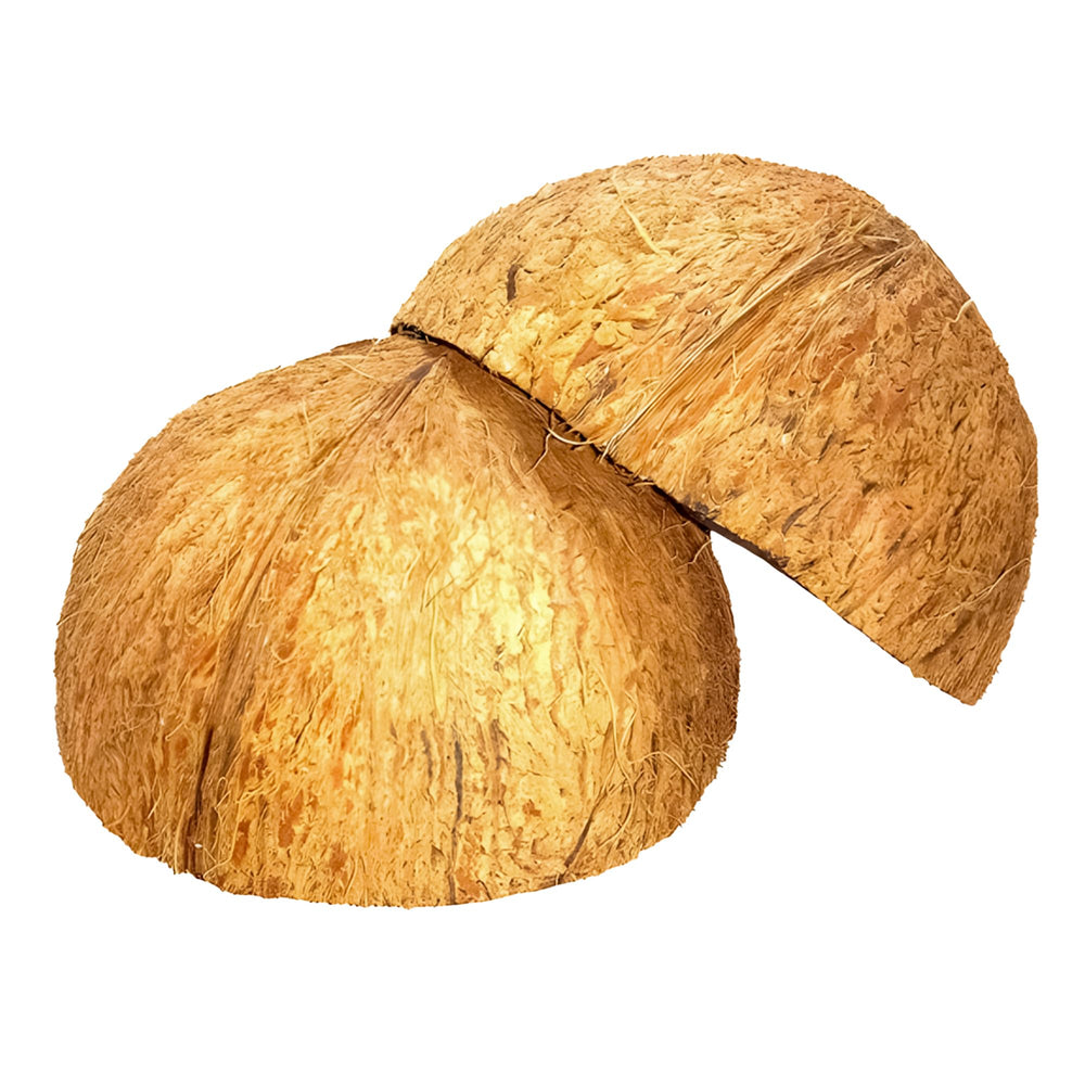 Sri Craft coconut shell half handcrafted, ideal as a unique candle holder
