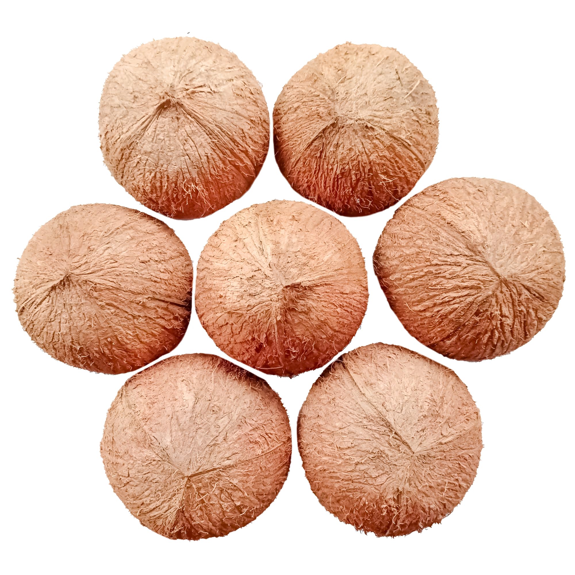 Sri Craft coconut shell half snack bowl for casual serving
