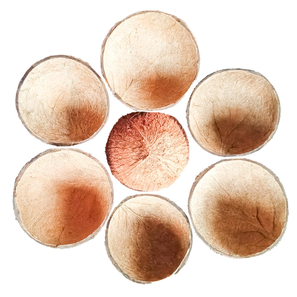 Sri Craft coconut shell half festive décor ideas for holidays
