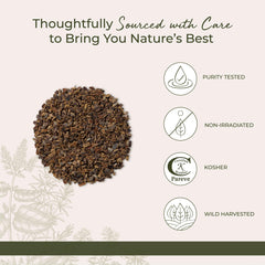 Starwest Cascara Bark dried herb on display suitable for infusion.