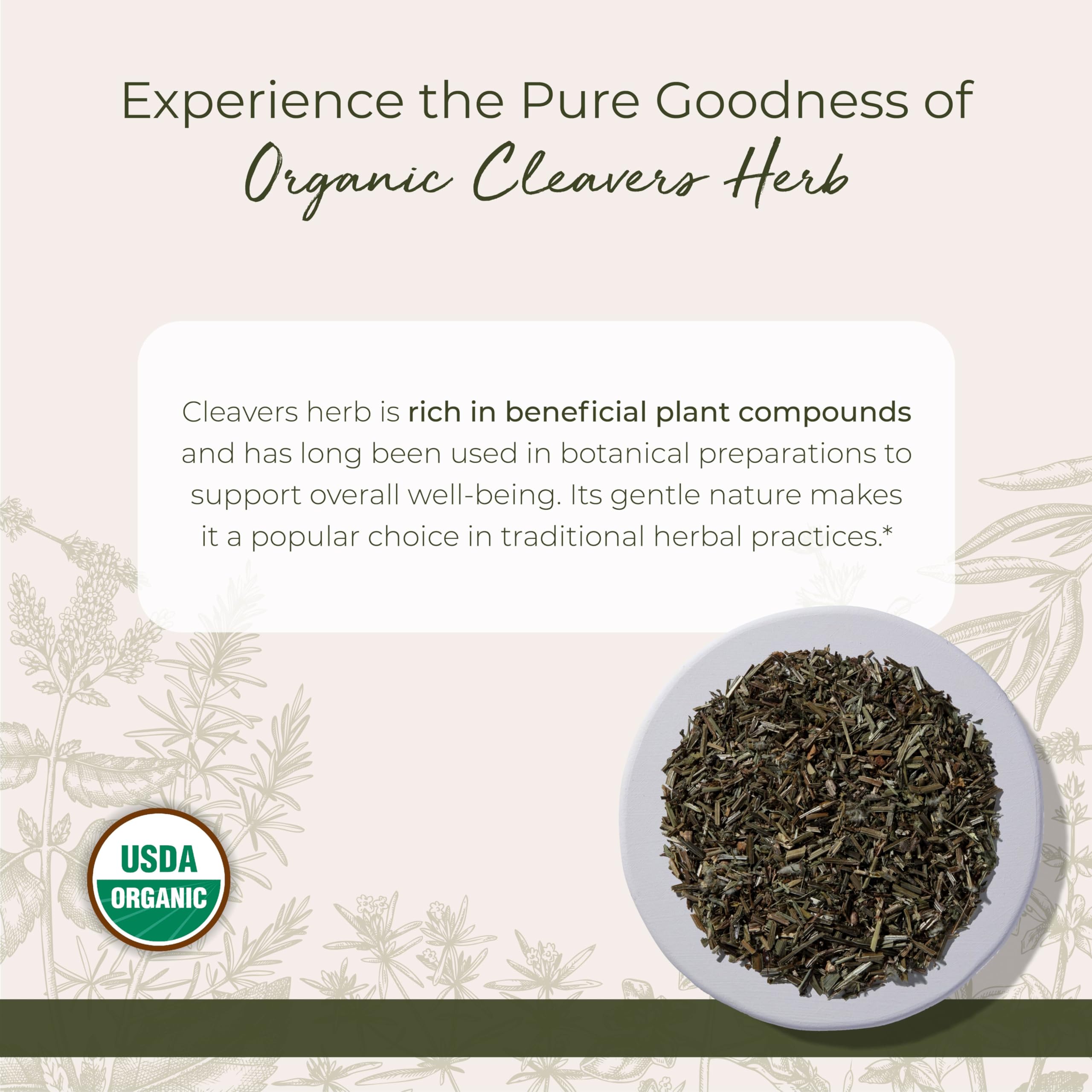 Starwest Botanicals Cleavers herb green aroma—ideal for herbal blends and salads.