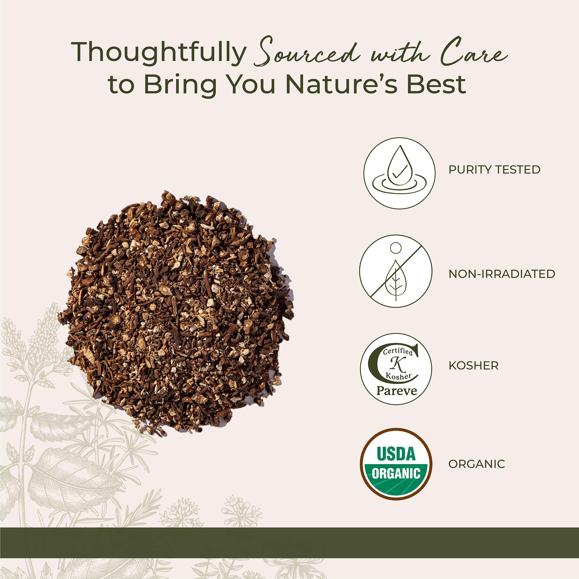 Starwest Botanicals organic dandelion root tea steeped cup with earthy aroma.