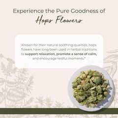 Starwest Botanicals hops tea steeping to release earthy aroma and citrus notes.