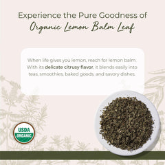 Starwest Botanicals lemon balm tea steeping releases a light citrus aroma.