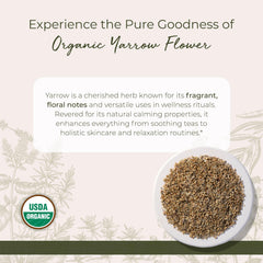 Starwest Botanicals organic yarrow tea loose leaf ready for infusion