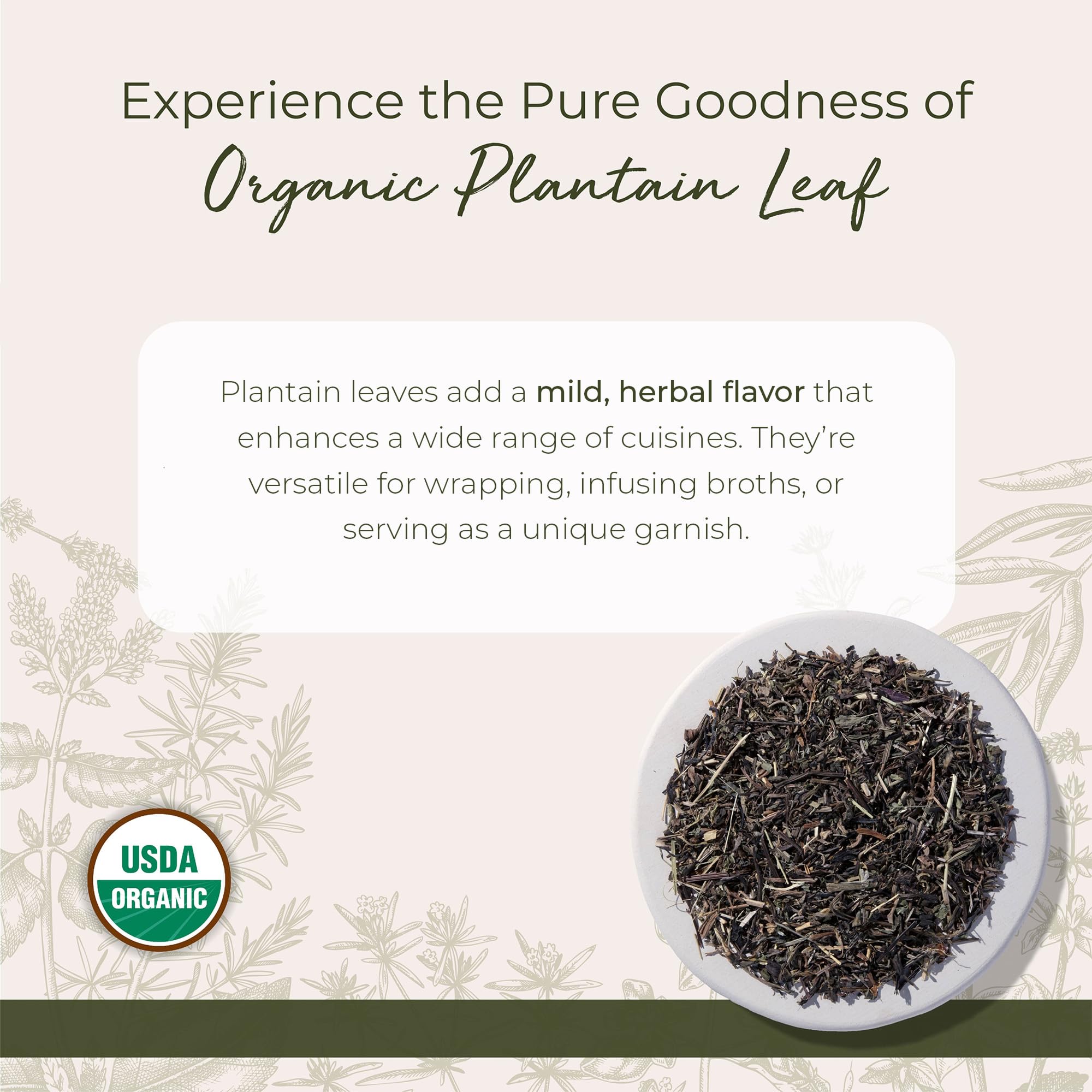 Starwest Botanicals Plantain Leaf dried loose leaves closeup for blends