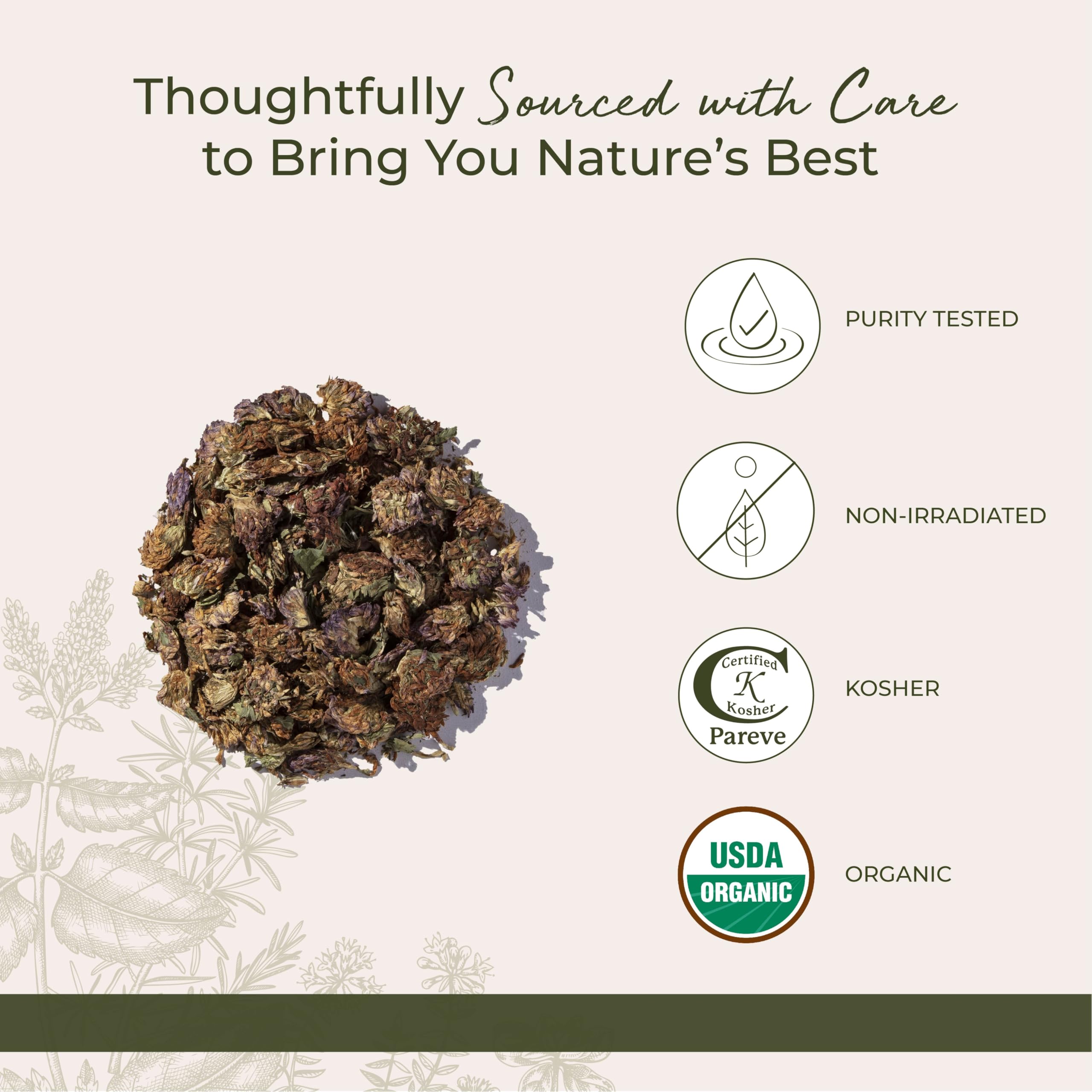 Starwest Botanicals red clover dried loose-leaf herb for tea and blends