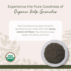 Starwest Kelp Granules close-up with textured surface for soups and dressings.