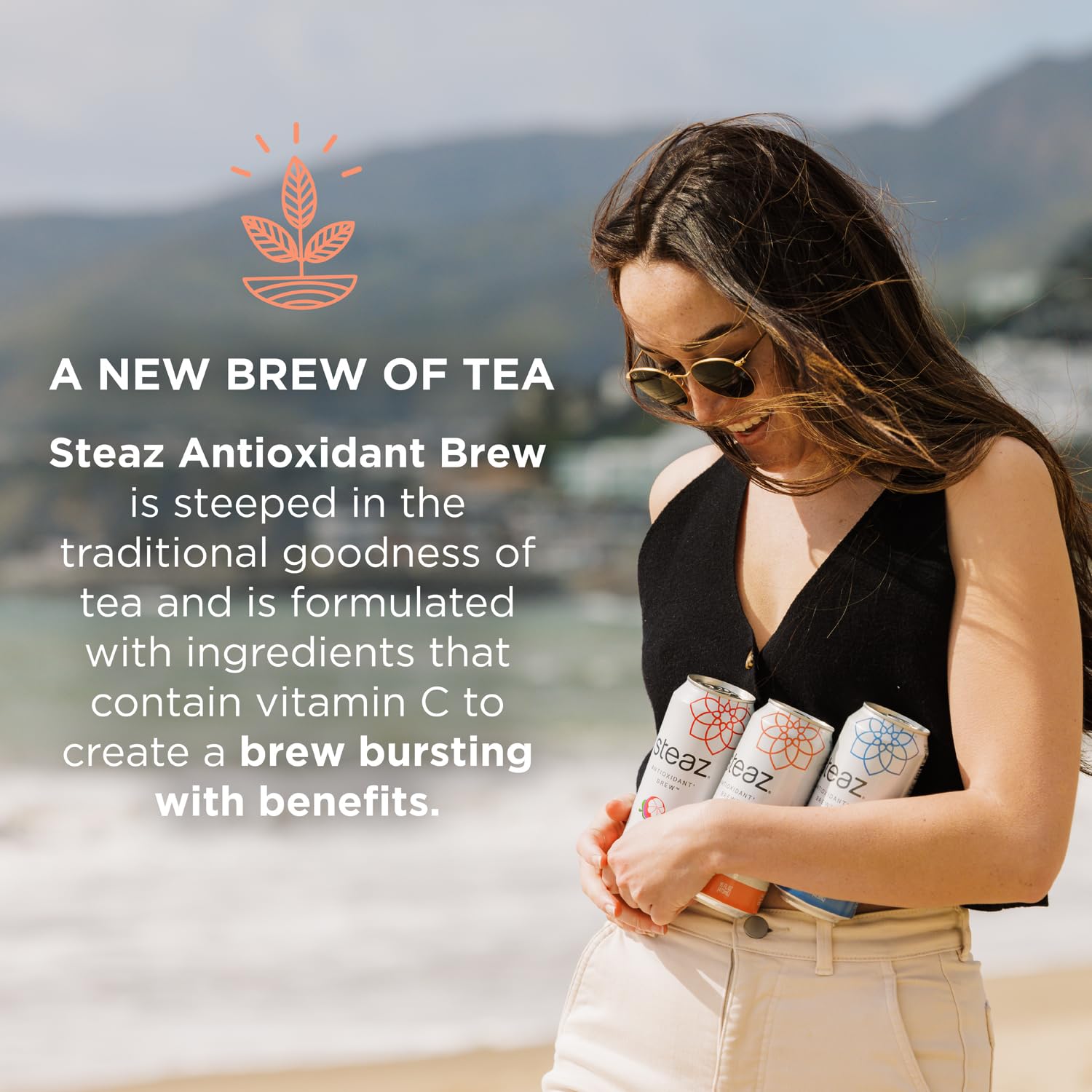 Steaz Antioxidant Brew can, energizing pick-me-up from natural caffeine.