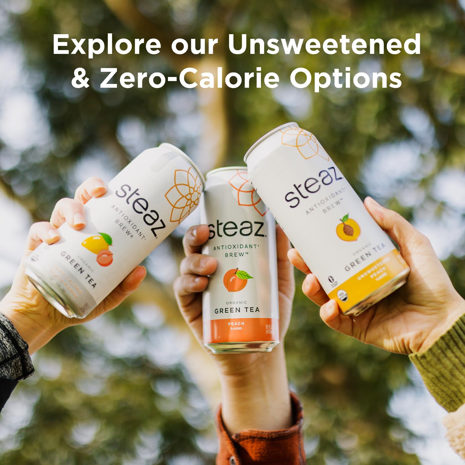Steaz Nutrition facts panel summarizes caffeine and vitamin C at a glance.