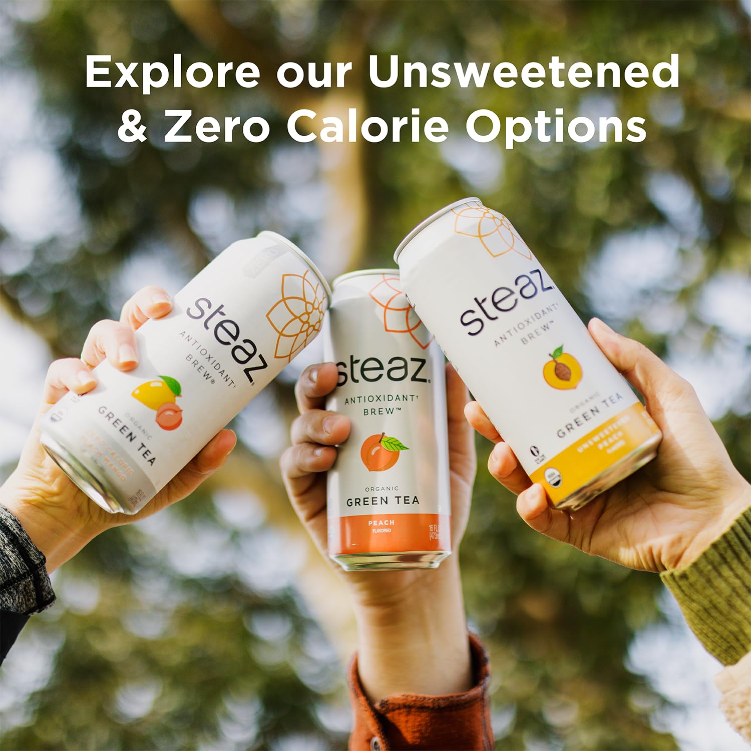 Steaz vegan tea ingredients, clean plant-based sip.