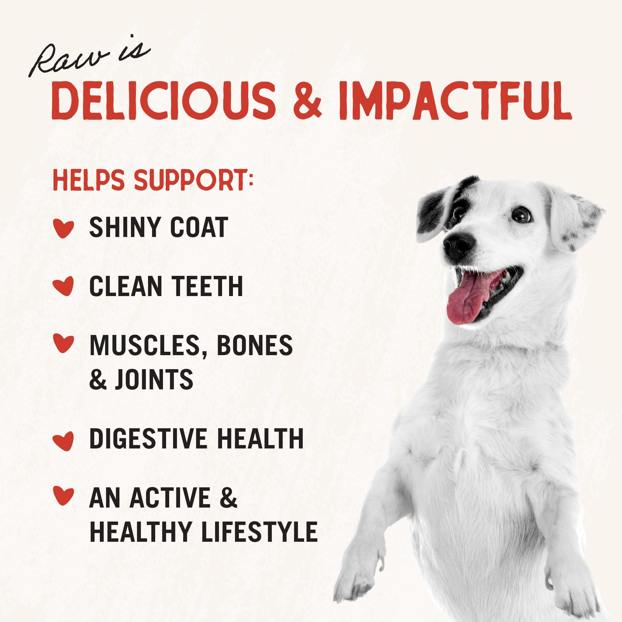Stella & Chewy's dog meal mixer supr beef 1oz ingredients closeup.