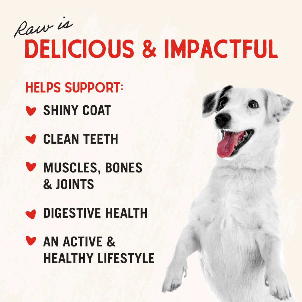 Stella & Chewy's dog meal mixer supr beef 1oz ingredients closeup.