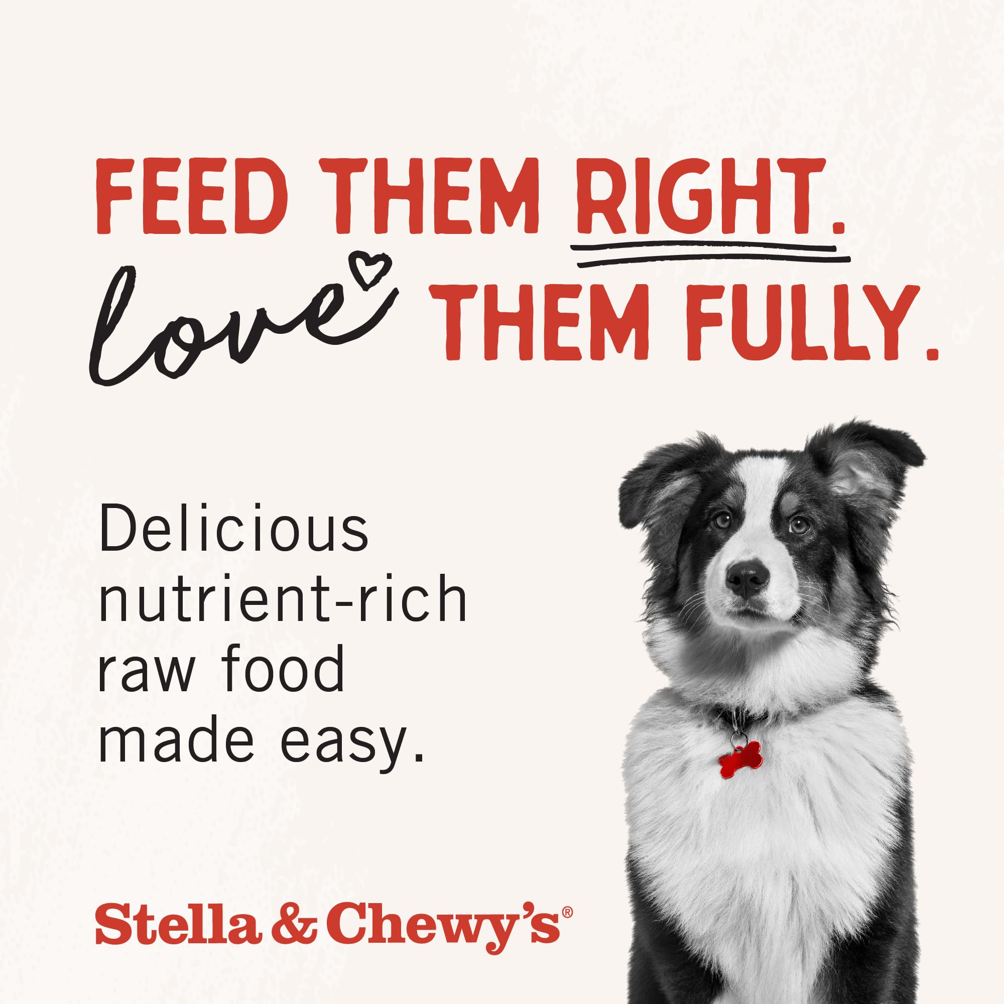Stella & Chewy's supr beef mixer 1oz on kitchen counter scene.